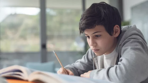 Boy Studying At Desk